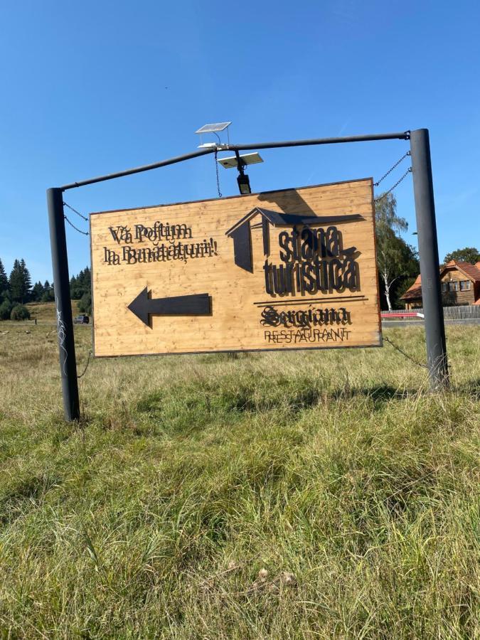 Pentahouse Mountain Belle Vue Apartment Пояна Брашов Екстериор снимка